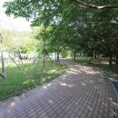 용산생활체육공원2 이미지