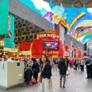 죽빵당구장 | 라스베가스 다운타운 구경거리 프리몬트 스트릿 전구쇼, 상어 수족관 비추 후기