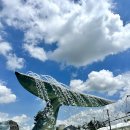 (주)파란고래 | 청주 무료 물놀이장 대형 고래가 있는 생명누리공원