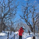 고토일청국장 이미지