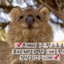 완미족발세종나성점