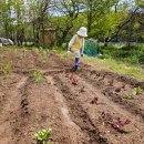 준오농장 이미지