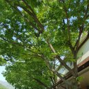 청수정가든 이미지