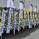 완도대성병원 중앙일보