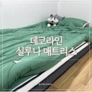 데코라인퍼니처 | 데코라인 실루나 매트리스 리뷰, 아이·자취생 모두 쓰기 좋은 롤팩매트리스