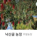 디알피부과의원