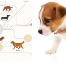 코리아정보시스템 이미지