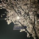 원미로7번길 이미지