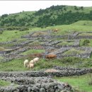 하도목장 이미지