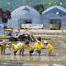 한양농장(2) 이미지