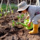 도시농장 이미지