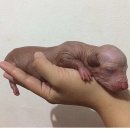 이** 이미지