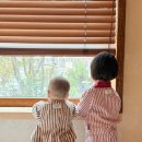 스테이 혜오(stay HYEO) 이미지