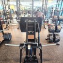 싸이벡스 스쾃프레스 ,시티드레그컬,레그컬,레그익스덴션,레그프레스, 인바디270. 팝니다. 이미지