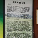 달빛 보부상 Daum카페