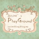 라임코코넛컴퍼니 이미지