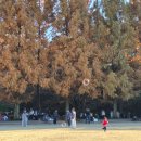 이반성면-6 | 진주 이반성면 가볼만한 곳 "경상남도수목원"