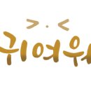 송이어촌민박 이미지