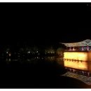 화야평 | [내차로~]경주, 양남 주상절리, 지리산 노고단