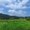 금강교옆 공원 이미지