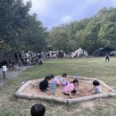 미르오토 이미지