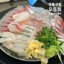 오로라회센타