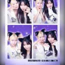 노랑머리앤 이미지