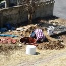 새금성교회 이미지