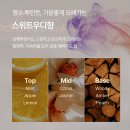 바이아우어 맥주효모 샴푸 2주 사용 솔직 후기 이미지