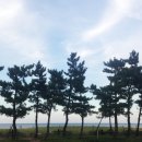 (주)브이플렉스 이미지