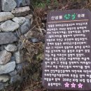 서대전육교밑 이미지