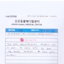 늘조은동물병원 이미지