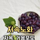 재우농장 네이버블로그