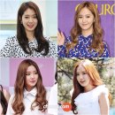 웨이브헤어 Daum카페