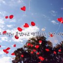 나비,날아오르다 이미지