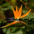 메타 동물의료센터 이미지