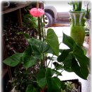 대구굿모닝병원 이미지