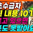 기초생활수급 방법! 바뀐 내용이 10가지나 됩니다!! 모르고 있다가 다 탈락합니다ㅜㅜ 얼른 보세요 이미지