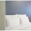 비바호텔&펜션 이미지