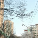 반포대로4길 24 네이버블로그