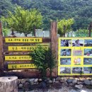 정선아기동물농장 이미지