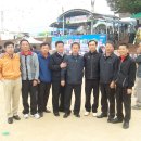 영월초등학교 이미지