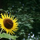 경희백세인한의원 이미지