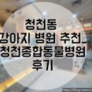 청천 종합 동물병원 이미지