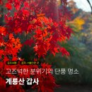 충남 공주 여행지 가을 단풍명소로 가볼만한 계룡산 갑사