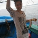 죽도항(양양죽도오토캠핑장) 이미지