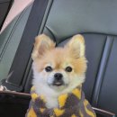 다호동물병원 이미지