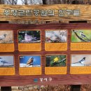 강서청소년회관 화장실 네이버블로그
