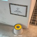 아우어펫 이미지