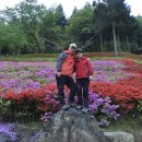 화순목장 이미지